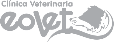 Logo de Personaliza